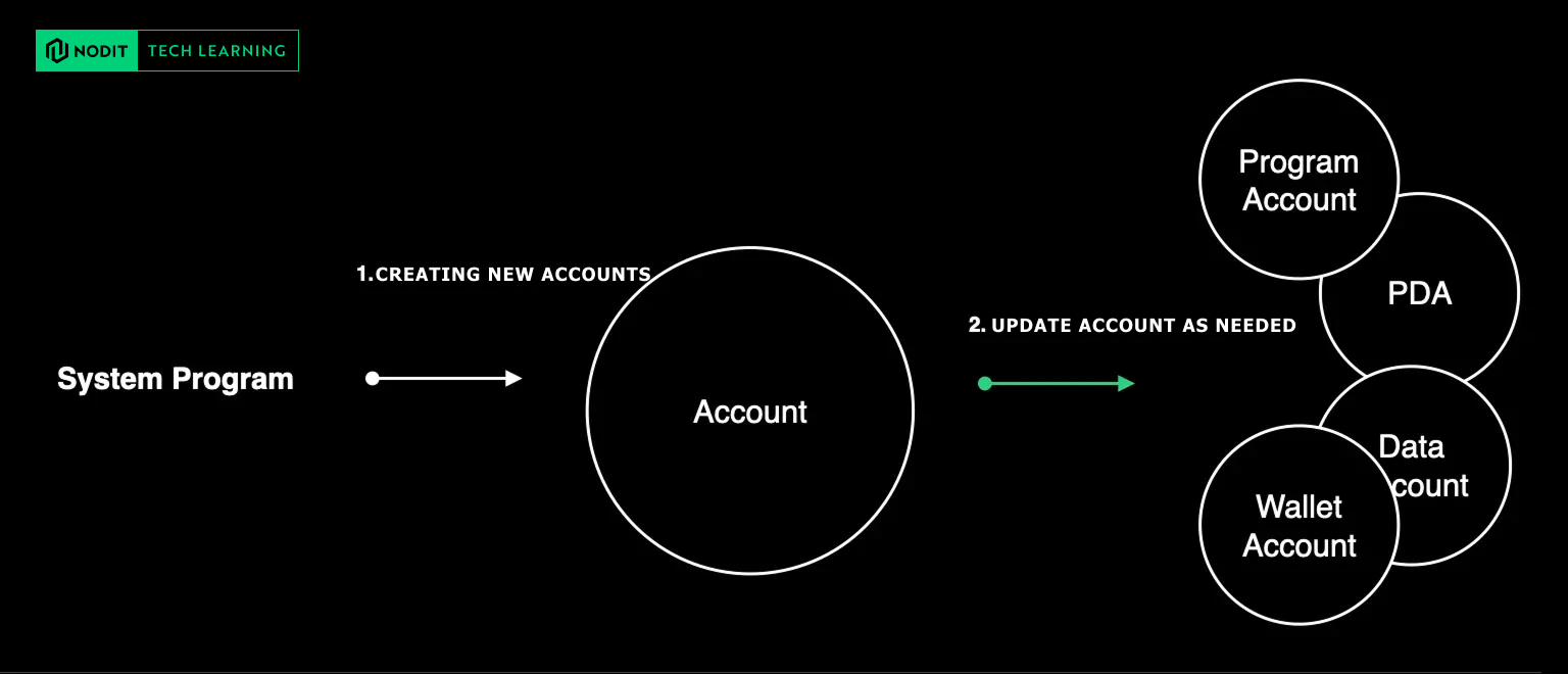 Chapter 2 of Solana Accounts: Programs, Wallets, Mints & Token Accounts Explained